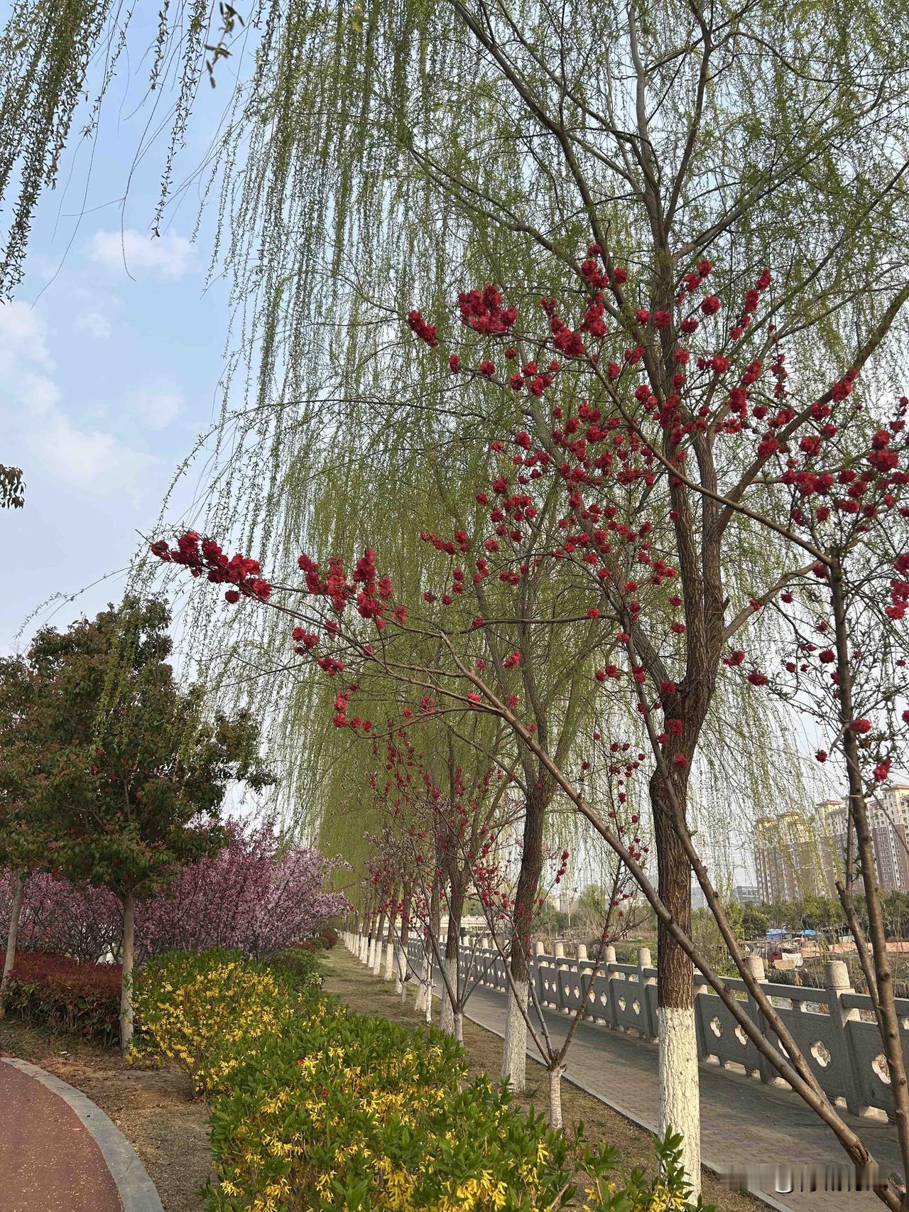 今年我50岁，正式退休了，终于不用再赶点上班、操心工作，日子一下子慢了下来，也有