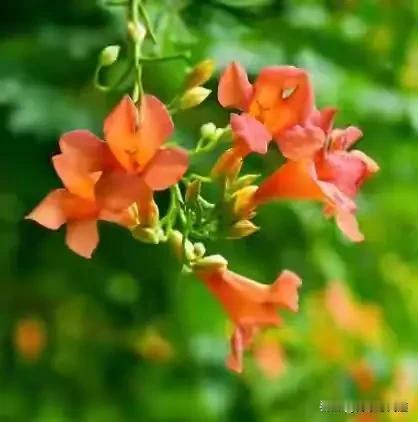 人生哪两大苦？头一个，叫“得不到”。想要的东西眼巴巴看着，死活够不着——想涨工资