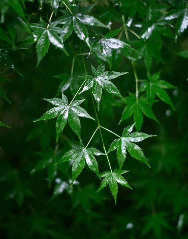 那些追风雨的人
    昨天就看到说今天会风雨交加，具体应该是午后，下午。因为关