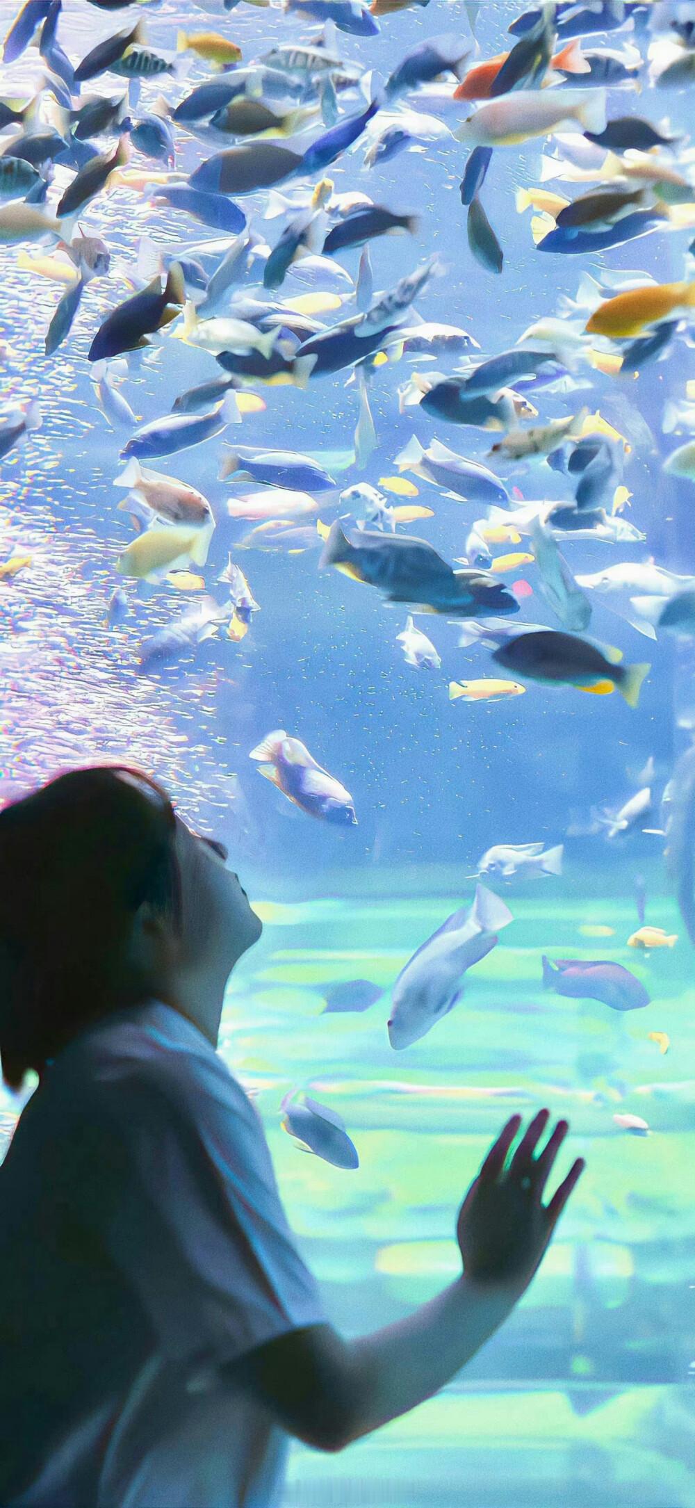 心动是她独自的兵荒马乱，也该她独自背负。——巧克力流心团《或在同伴新婚盛宴》晚安