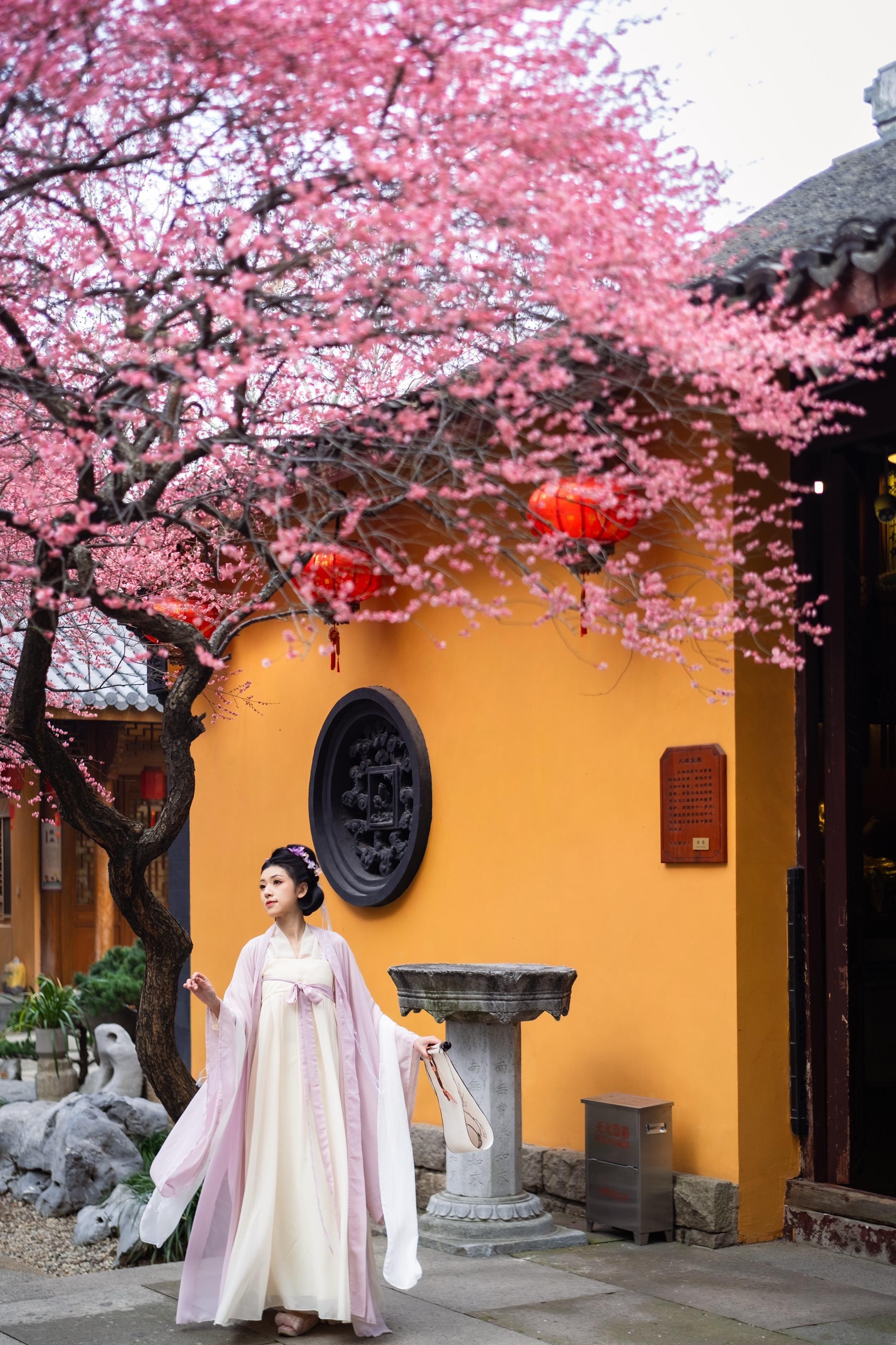 湖州铁佛寺 | 去寻一寻江南最具灵性古梅。最近正值赏梅季节 说到赏梅的...