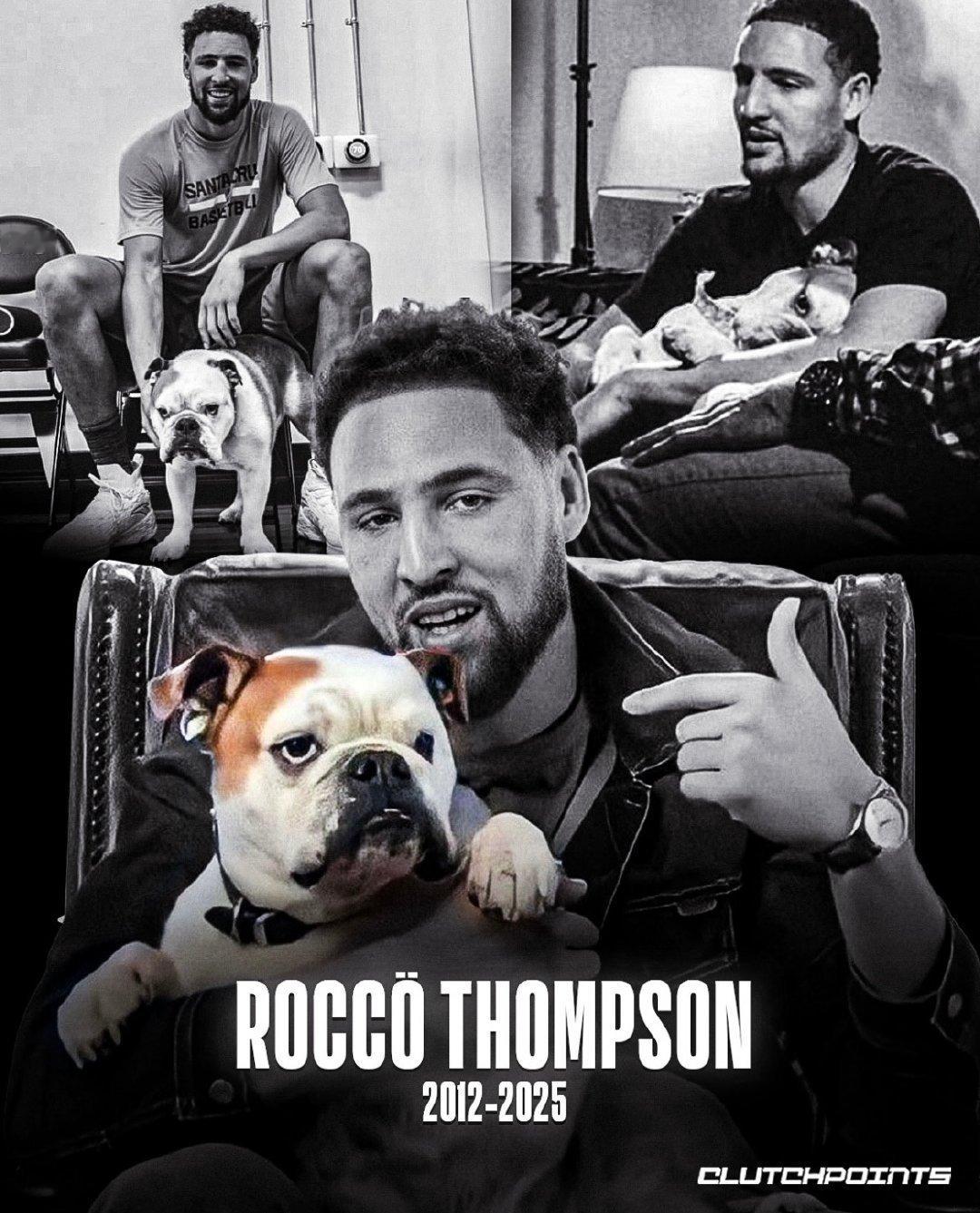 独行侠悼念克莱爱犬 安息吧，Rocco（2012-2025）他陪克莱来到达拉斯，
