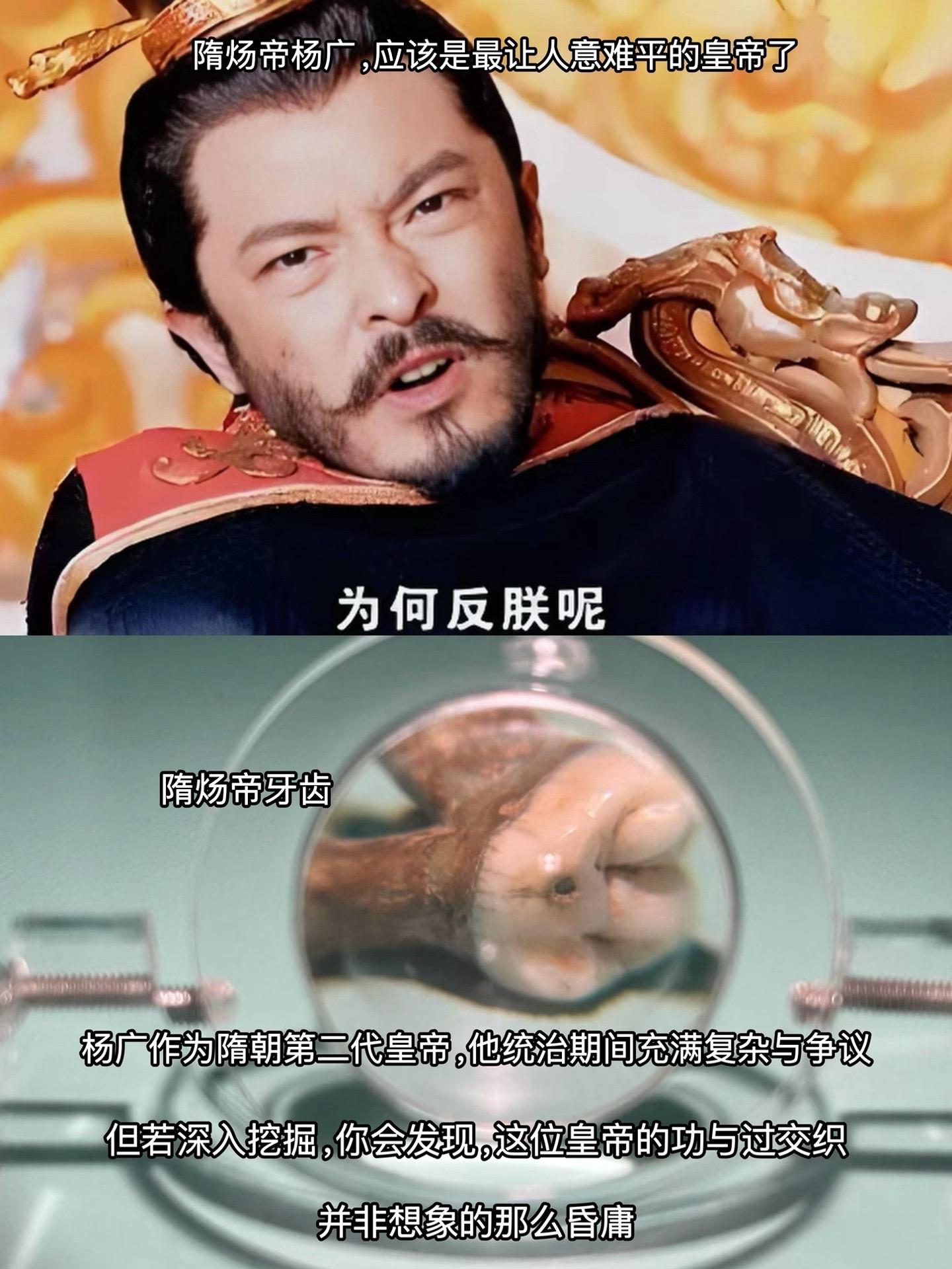 隋炀帝杨广是不是被严重的抹黑和低估了