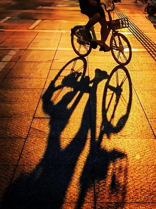 说实在的，你真的高估了自己。除了几条胡须和腿毛，什么也不会！
区域经济这么发达，