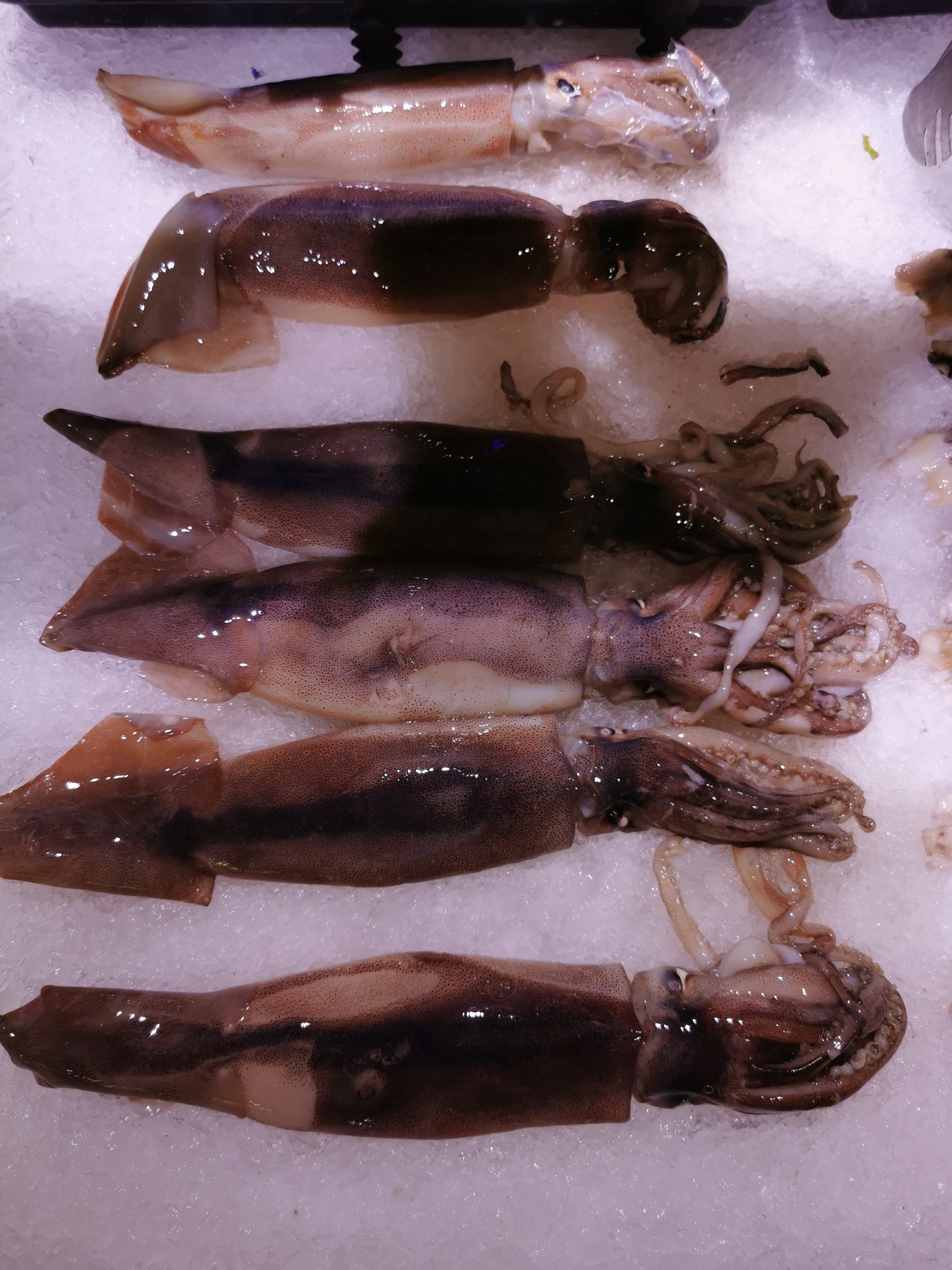 乌贼应该怎么处理呢？ ​​​