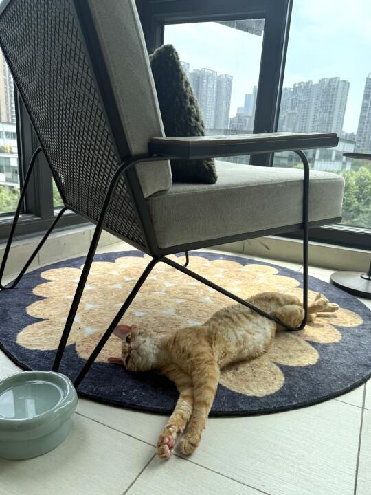 谁摸肚腩