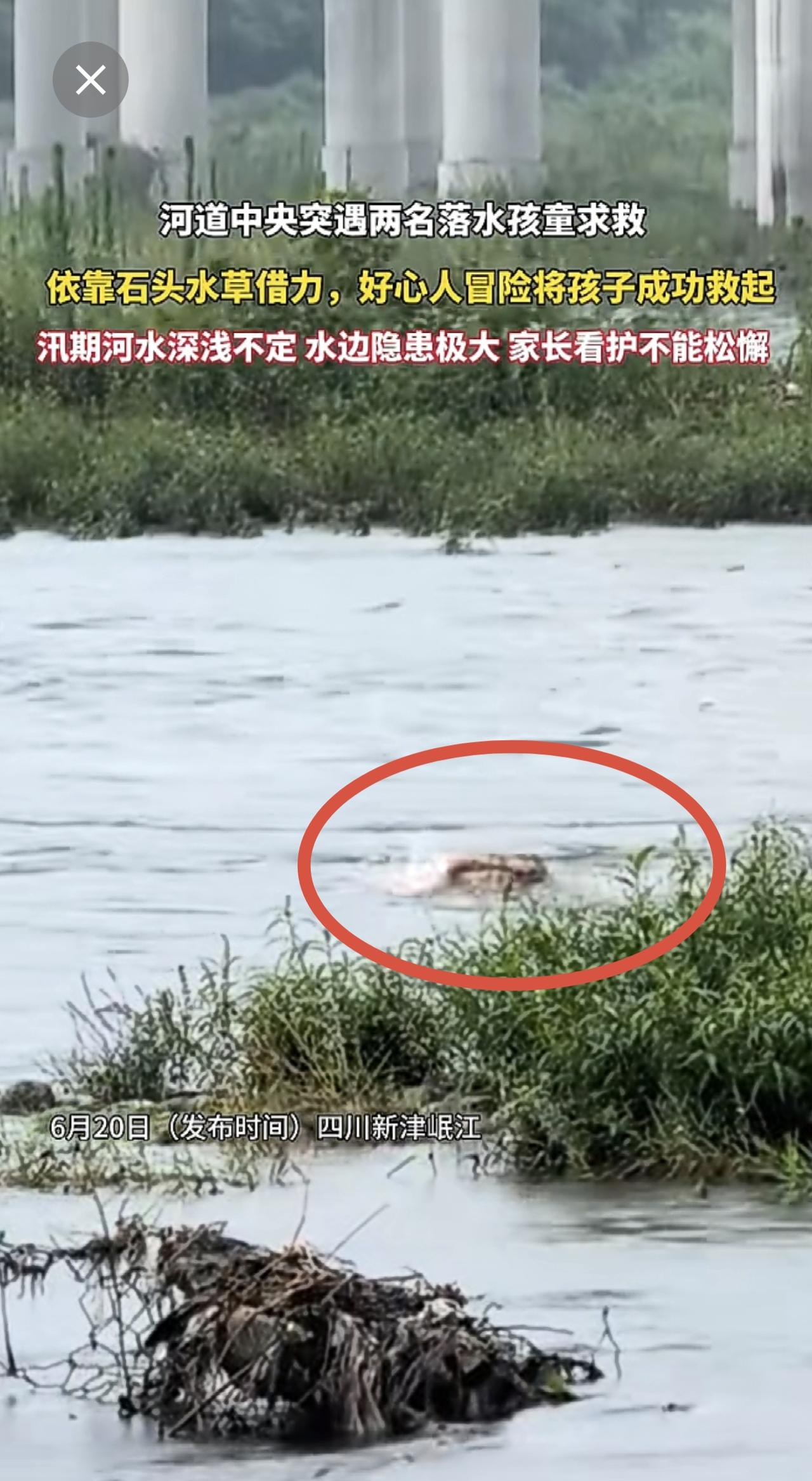 多亏好心大哥出手相救，不然两个孩子后果不堪设想