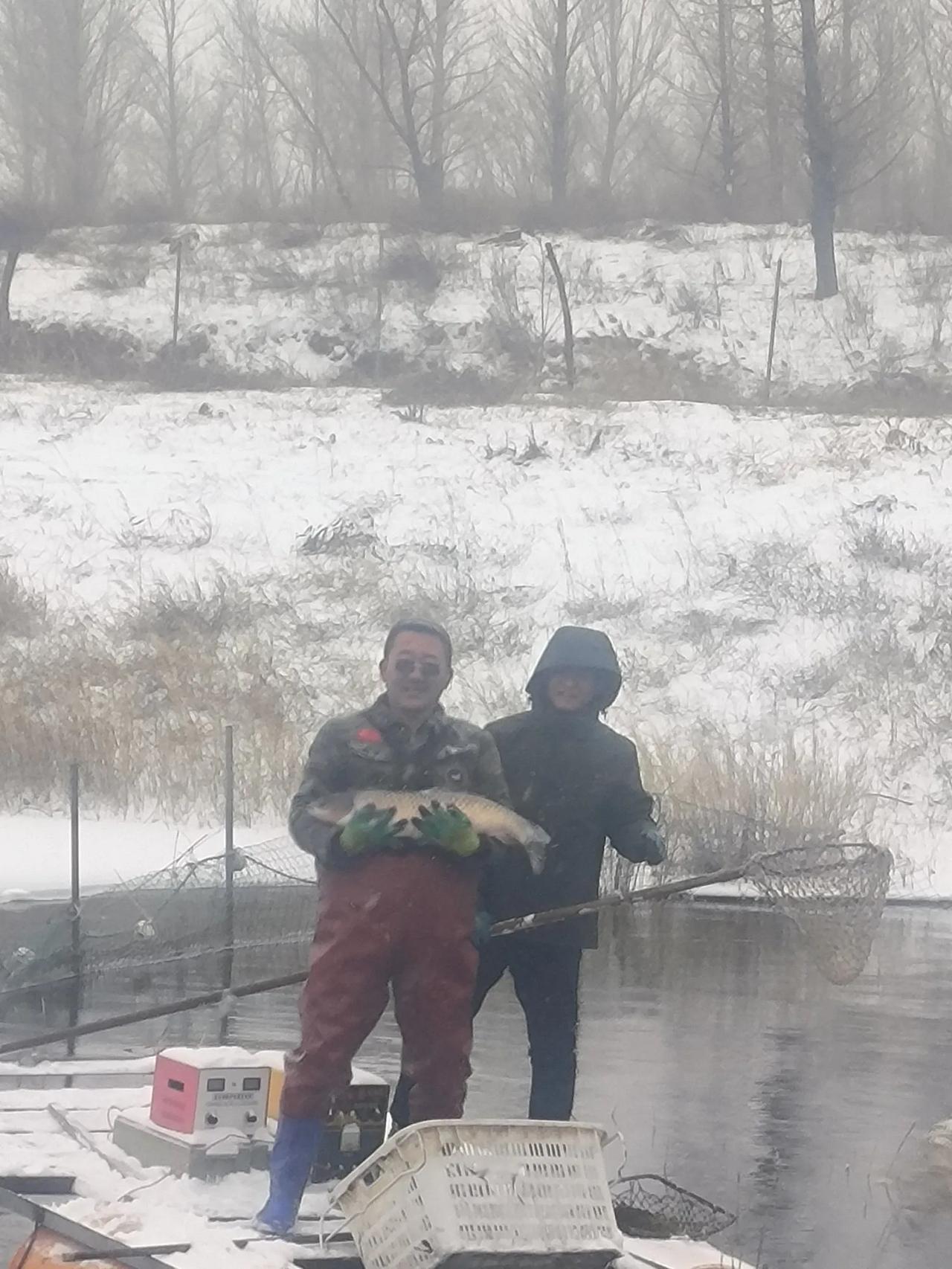 都说立马要下雪，还要降温。自治区蓝色预警一波又一波，叫人不得不重视。可几天过去了