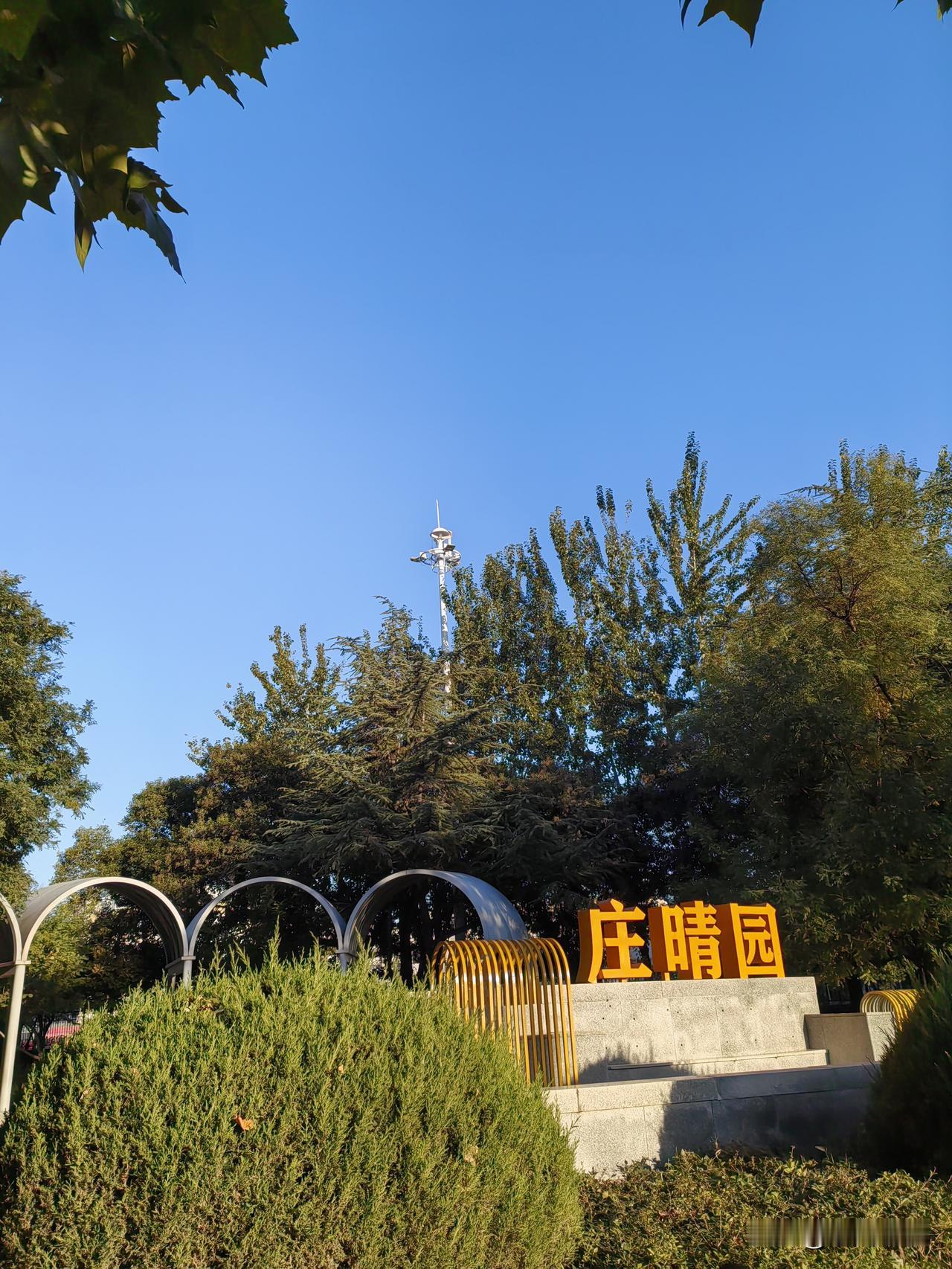 哈哈看到舅妈的称呼，
我们河北石家庄这里，
方言管舅妈叫“妗子”。

友你是哪里