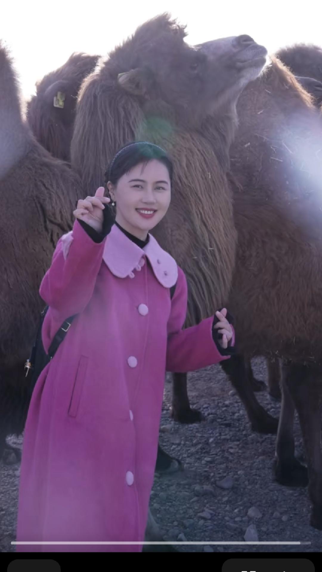     戈壁滩的风裹挟着沙砾，掠过无垠的荒漠，将“骆驼之乡”的轮廓勾勒得愈发清晰