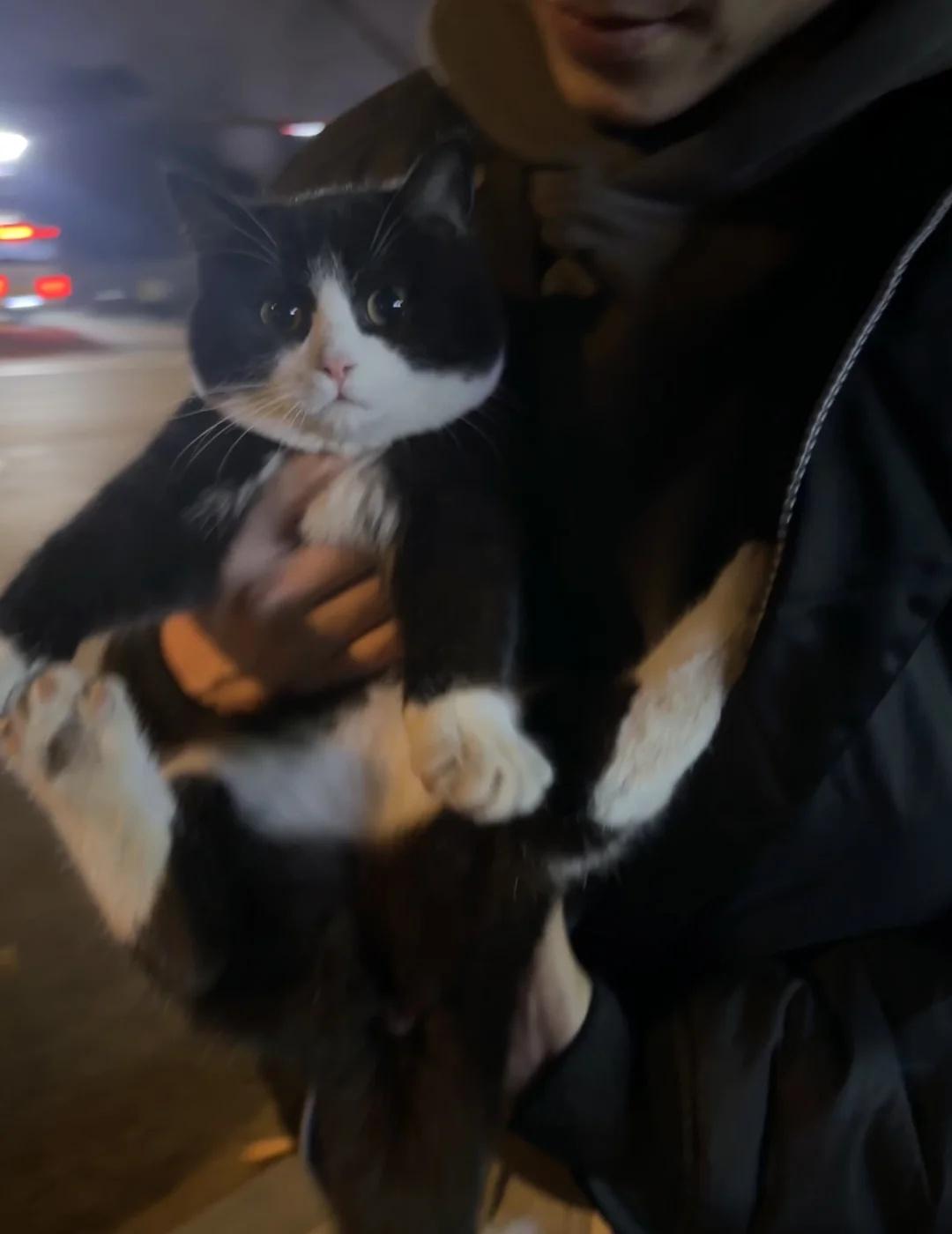 劝大家不要轻易走夜路！喜提二胎