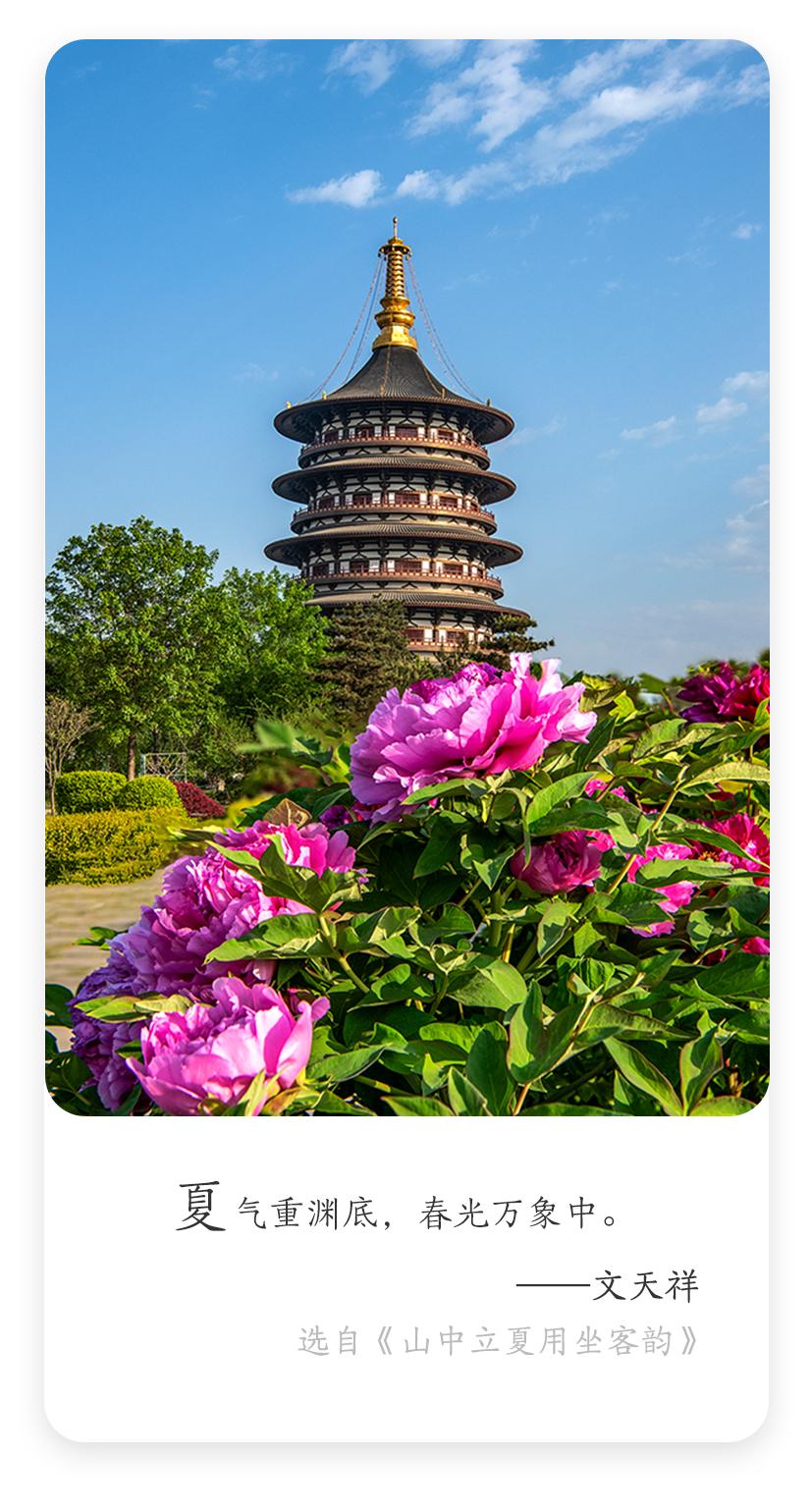 每日名言✨| 文天祥的超燃生命哲思
南宋爱国诗人文天祥说："夏气重渊底，春光万象