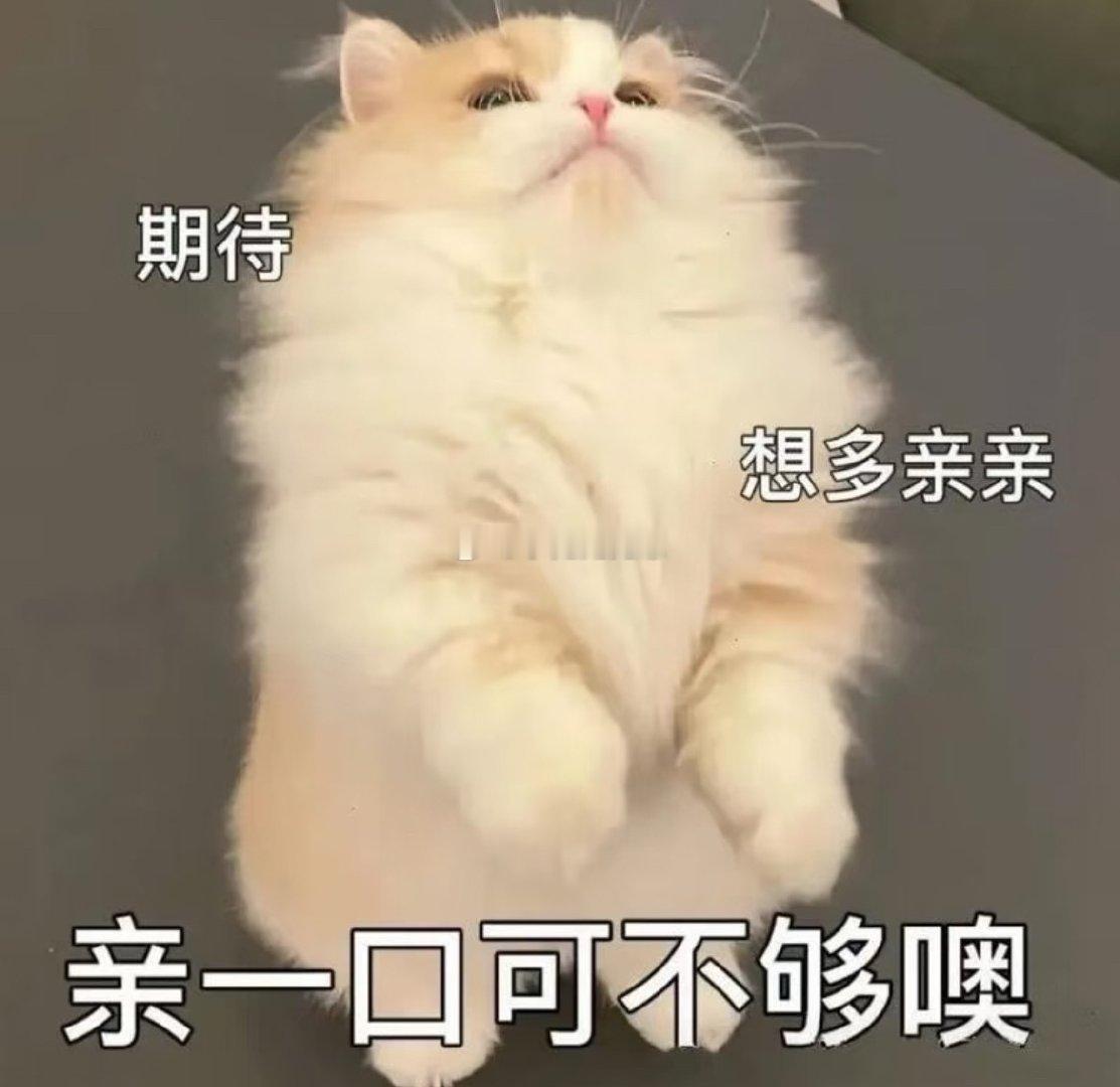 已经想直接快进到下周啦！这次见面我要狠狠压榨🐺我猜🐺也是这样想的～狼兔恋爱碎