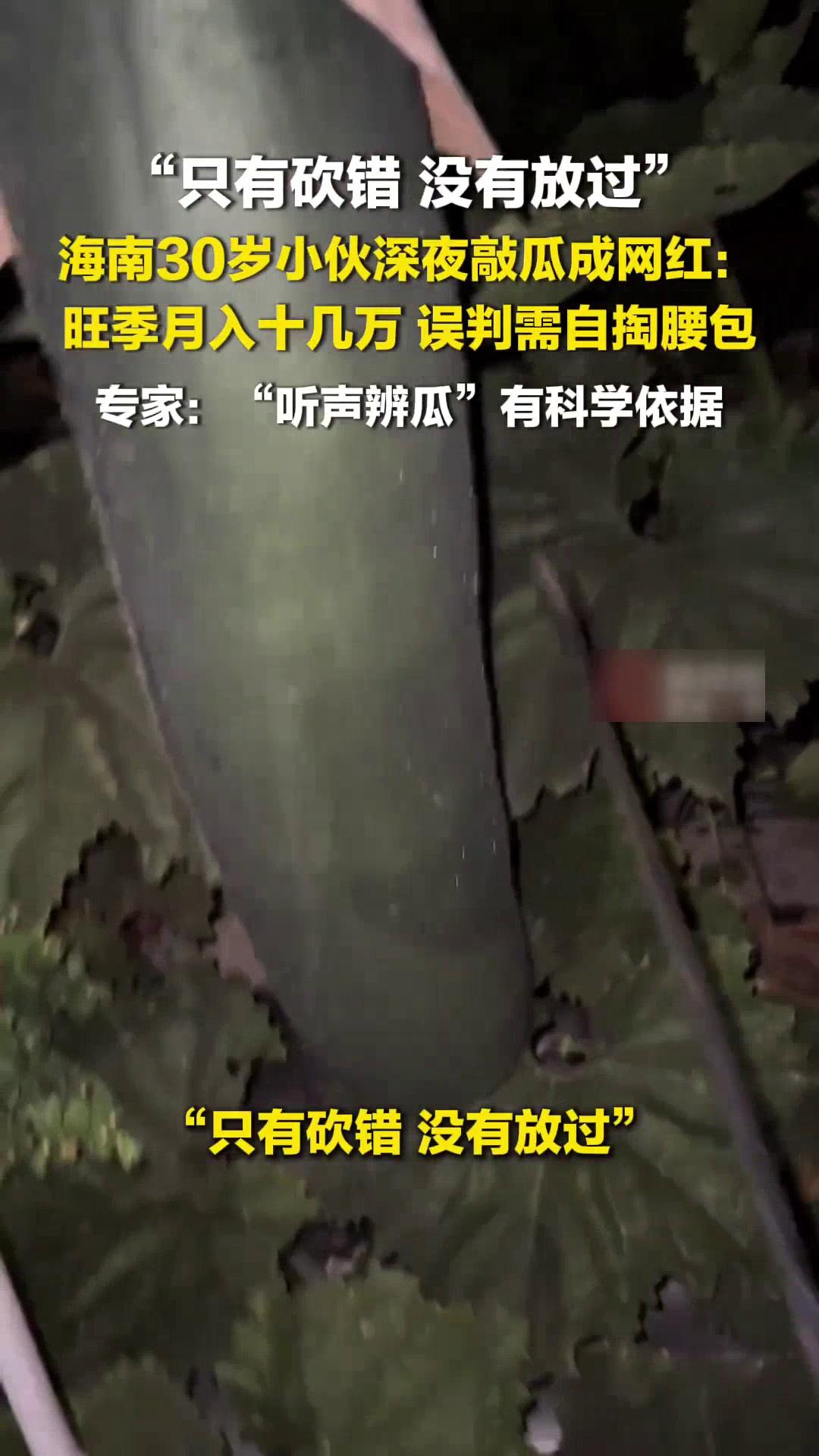 30岁小伙深夜敲瓜爆火！月入十几万，辨瓜准确率99% 最近一位30岁江苏小伙深夜