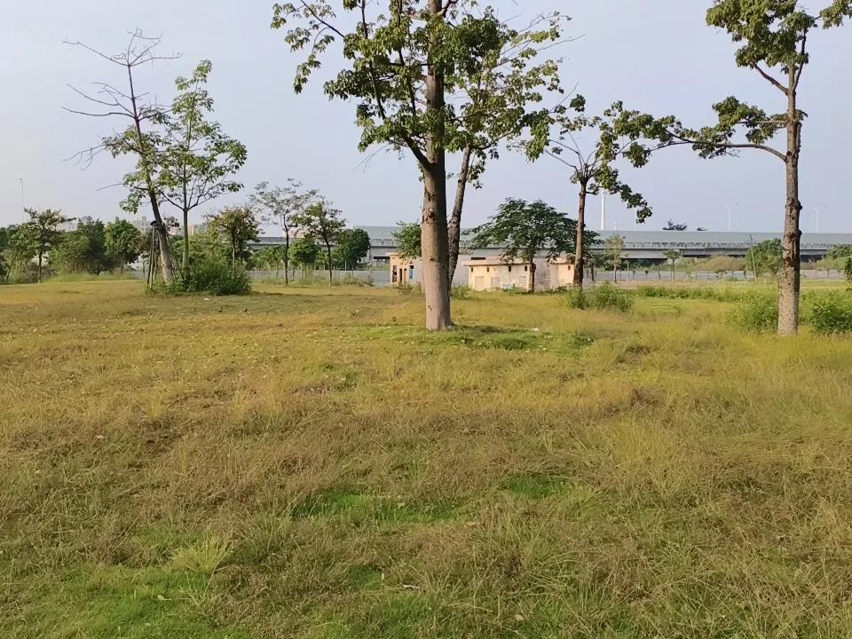 留个照片，过个几年再看看会是什么样子，或者过几个月这里会变成什么样子