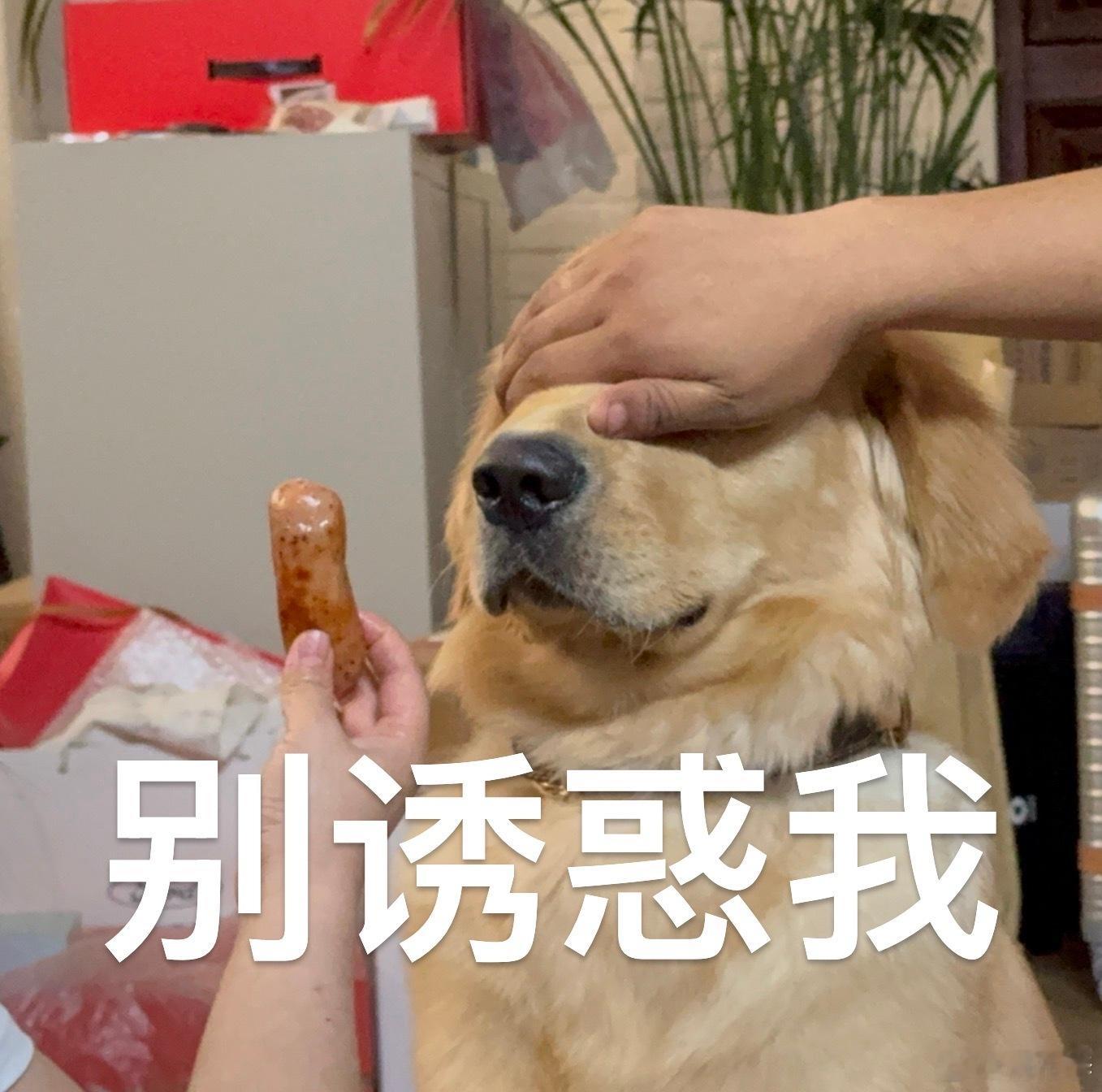 通过ET5，才能看清，蔚来这次对于老幺的宠溺[喵喵]我和汽车的日常  ​​​