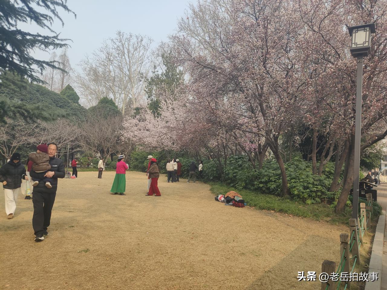 时下正值春暖花开的季节，各种花儿你争我抢的竞相开放，为留住这美好瞬间，同时也记录