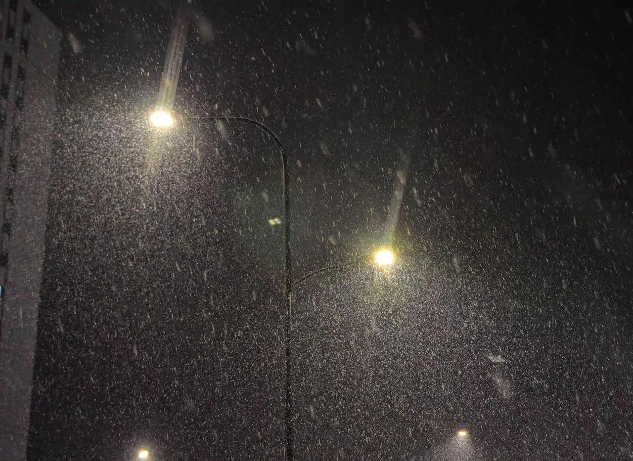 春天了，还能下一场大雪，瑞雪兆丰年下雪 雪