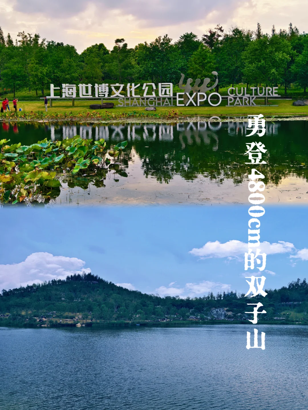 太火爆了|登海拔4800cm的世博双子山要预约