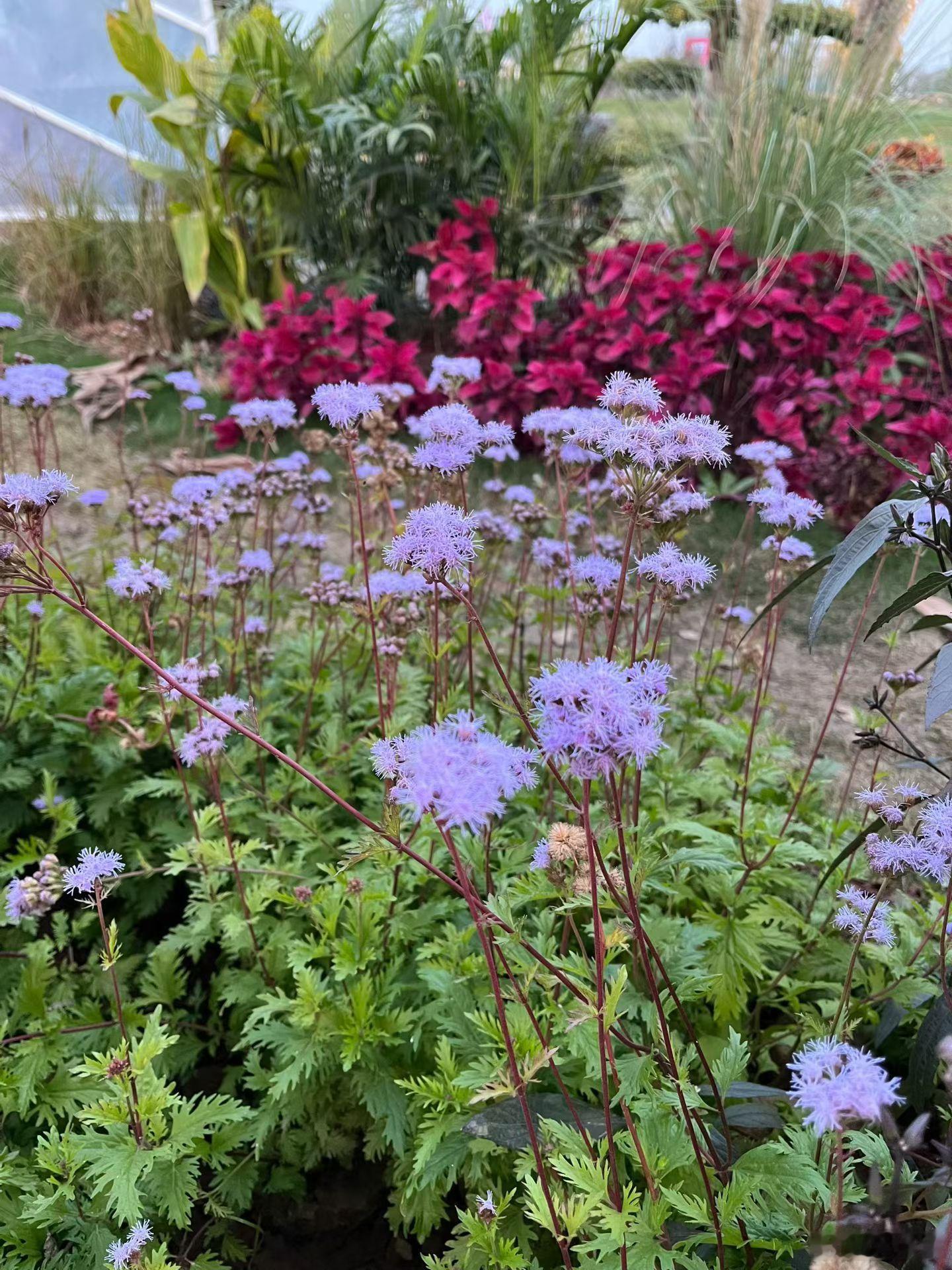 1. 日子慢慢过，一步一个脚印来～2. 遇到坎儿别慌，咬咬牙就跨过去了！3. 多