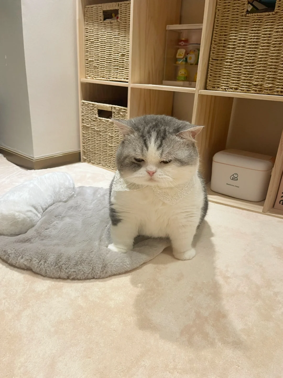 6点多把它摇醒 脚都气开叉了