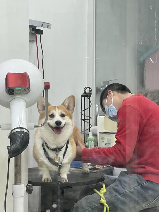 今天我妈带我去那个大保健！