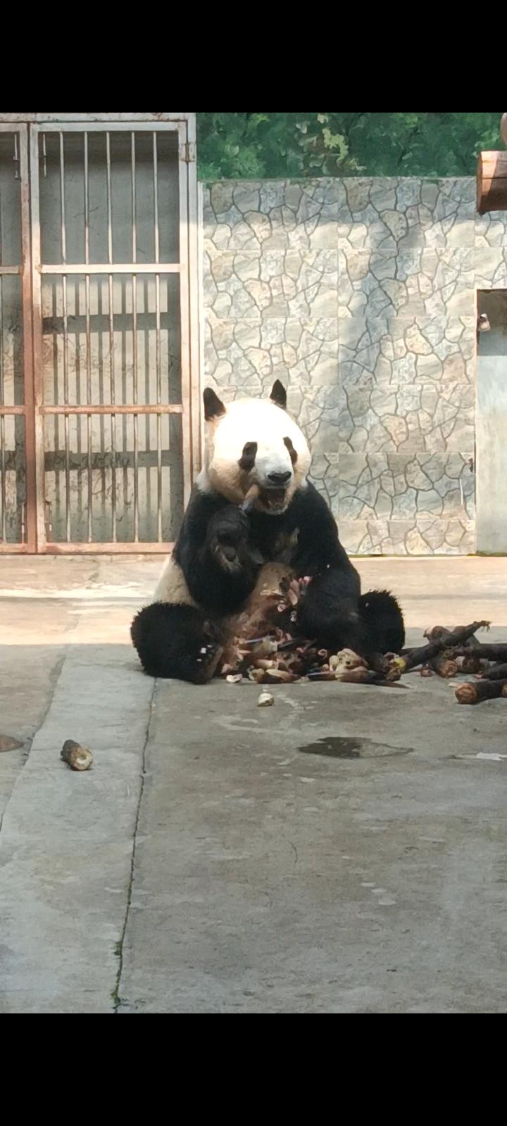 西安秦岭野生动物园