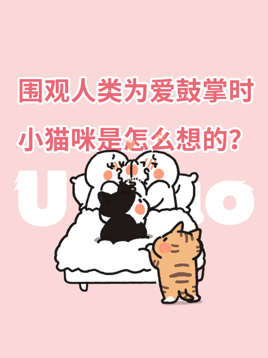 围观人类为艾鼓掌时，小猫咪在想什么？