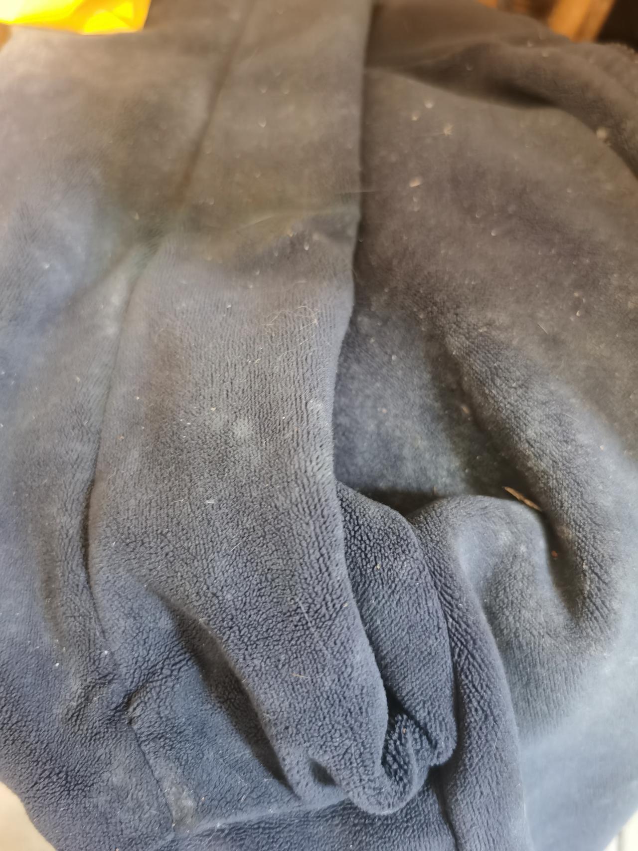 真的发霉了！太难受了，感觉到处湿湿的，不在是让鼻子干燥的要冒烟的城市。阴雨不断，