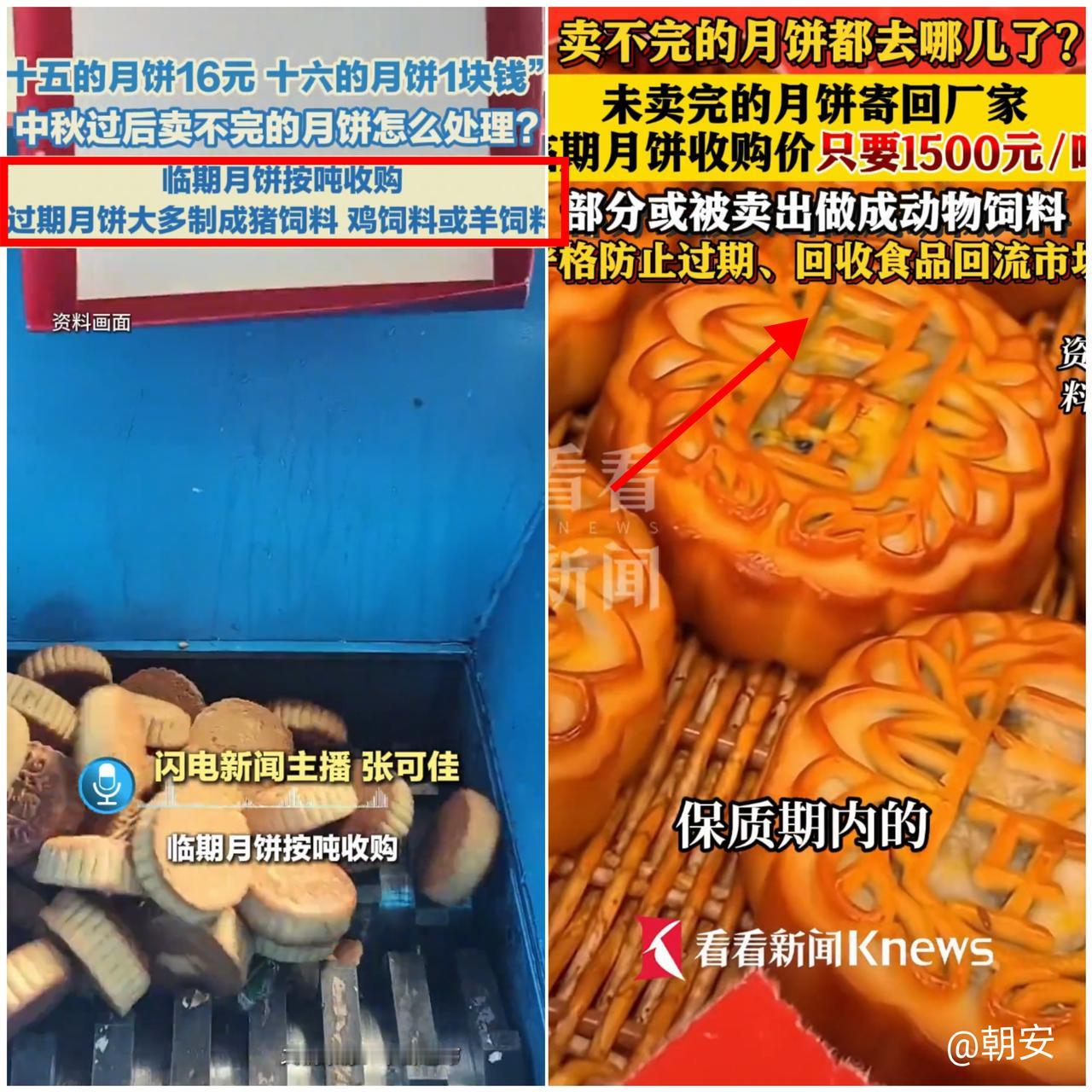 绝了！

中秋刚过，超市里的月饼就跟“集体消失”似的！

前一天还是送礼的香饽饽