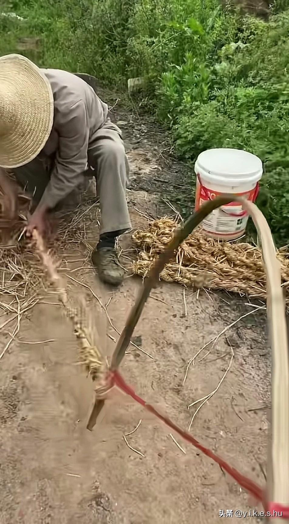 小时候明明很穷很苦，为什么人人都在怀恋小时候，这是湖北小孩童年的噩梦，现在应该没