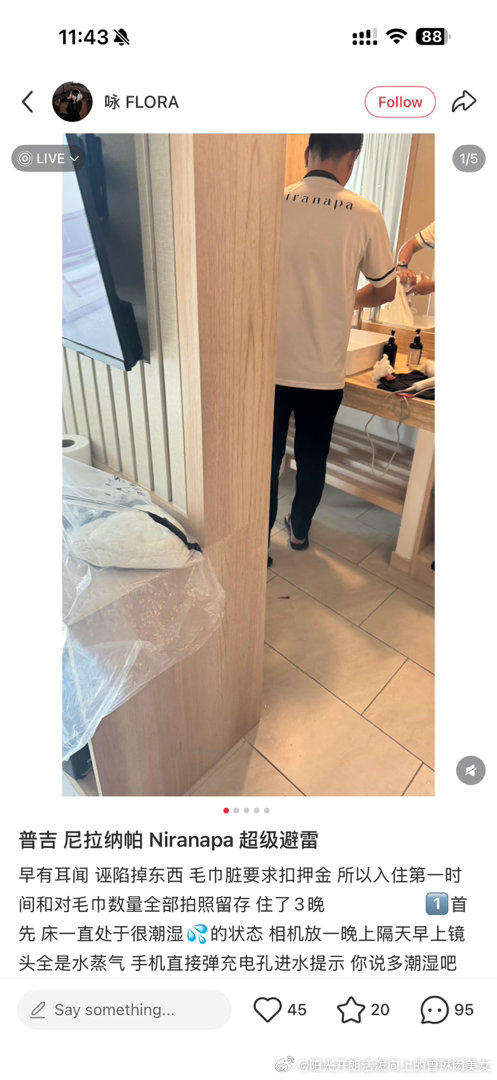 这个4️⃣niranapa老惯犯了 
