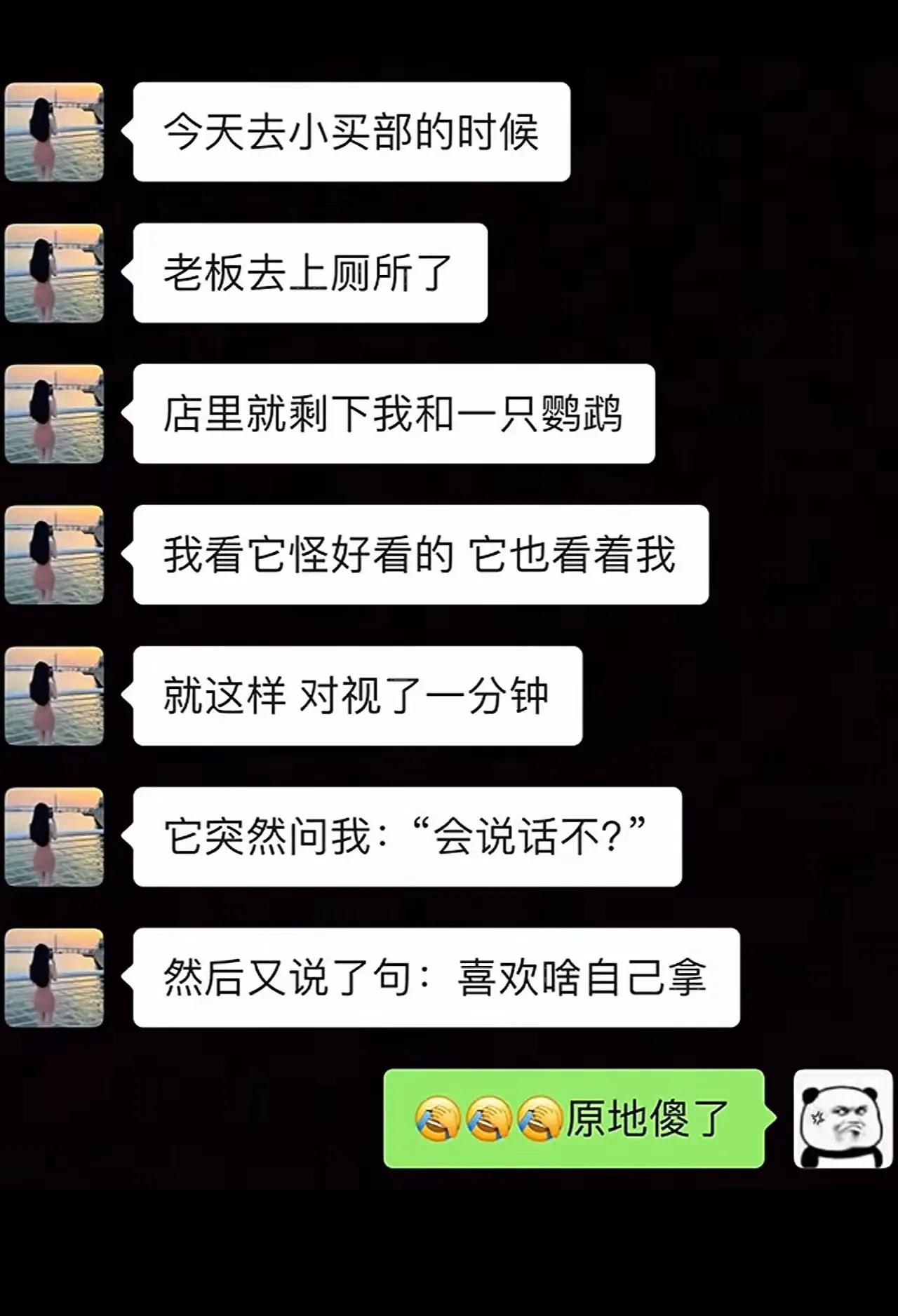 好想养一只这样的鹦鹉[爱慕]