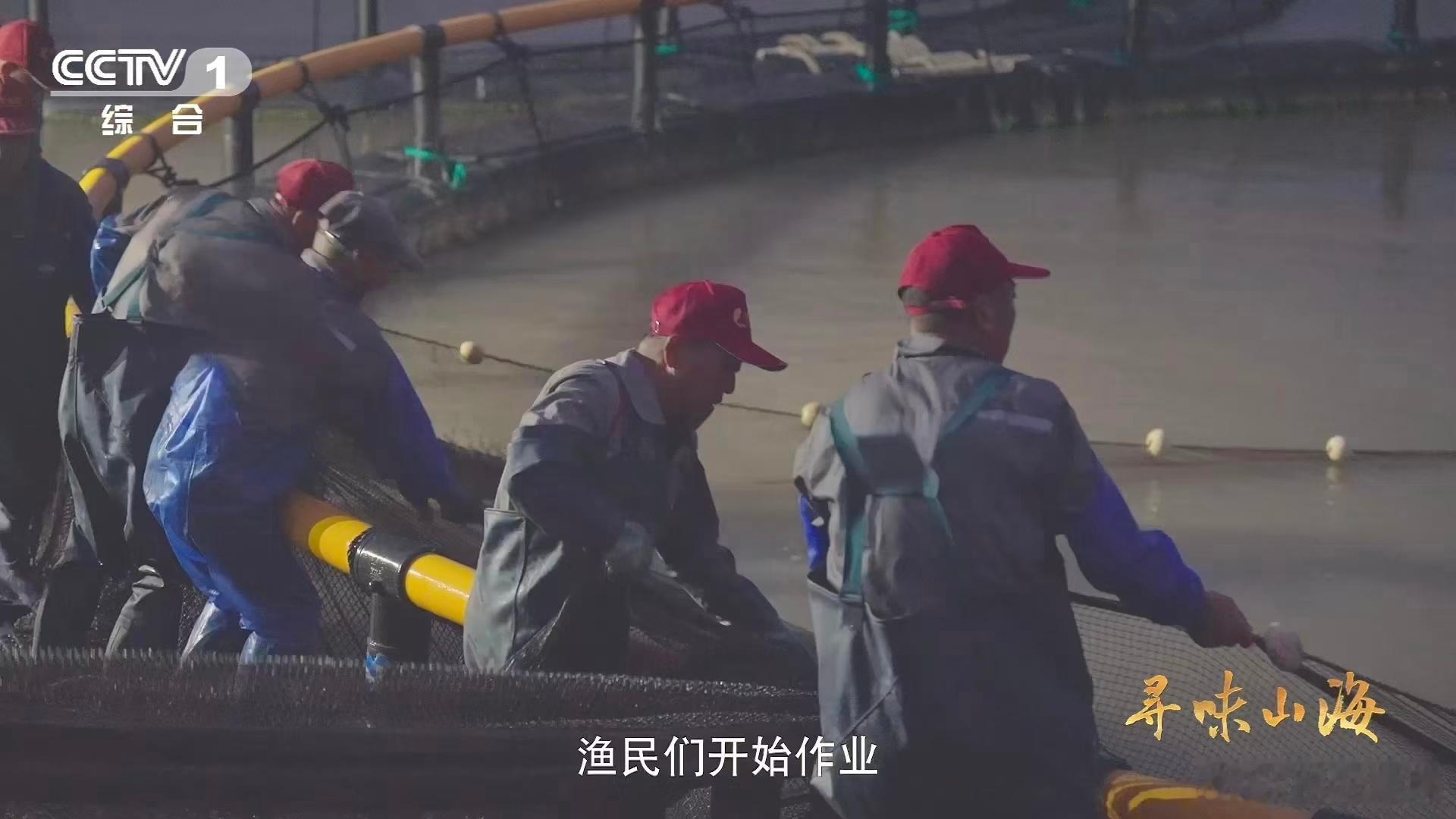 作为四大海产之一，大黄鱼的优势太明显了，肉质细嫩还没什么腥味，不管怎么做法都好吃