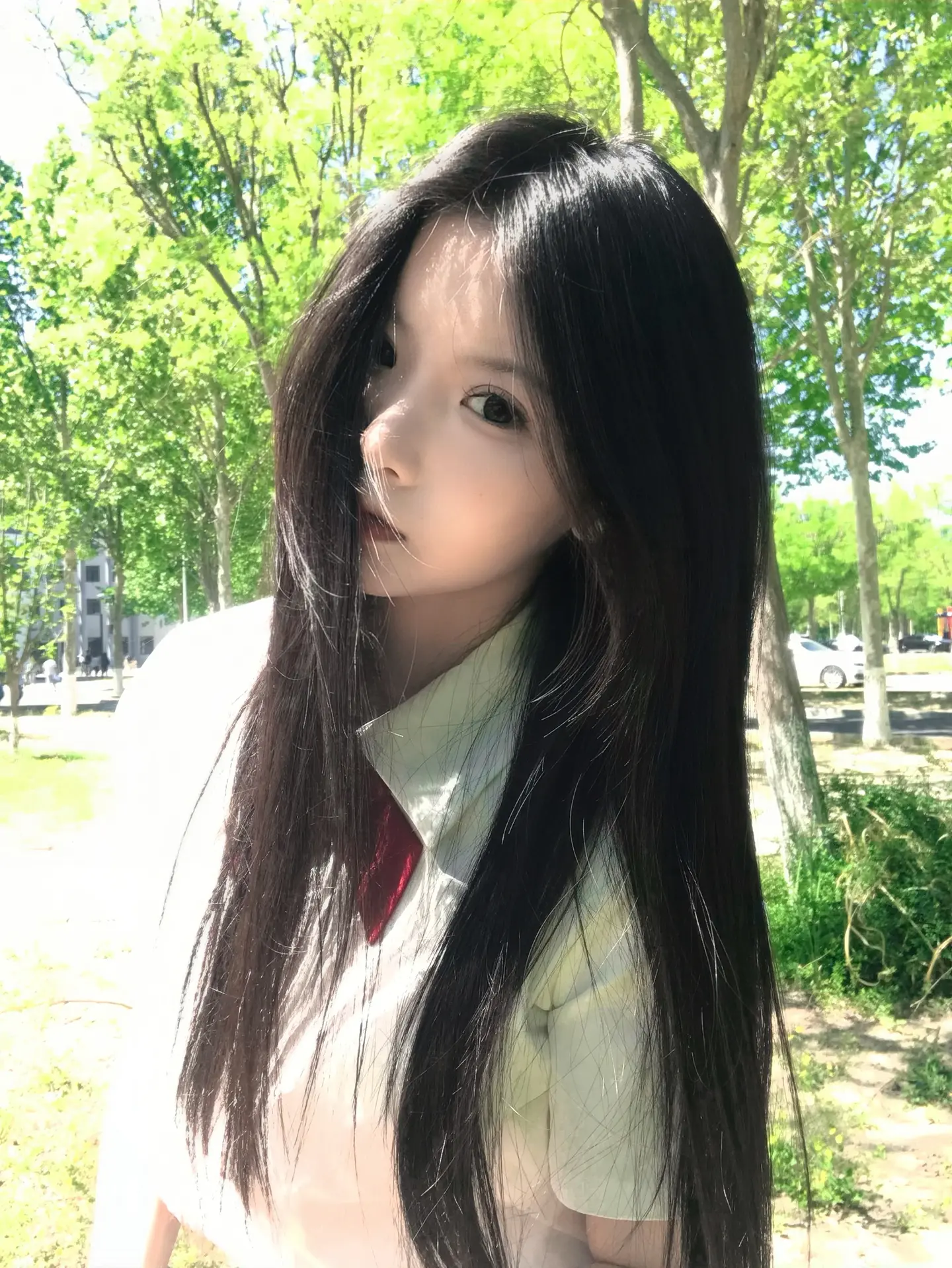 是与非的对垒 爱得我好气馁