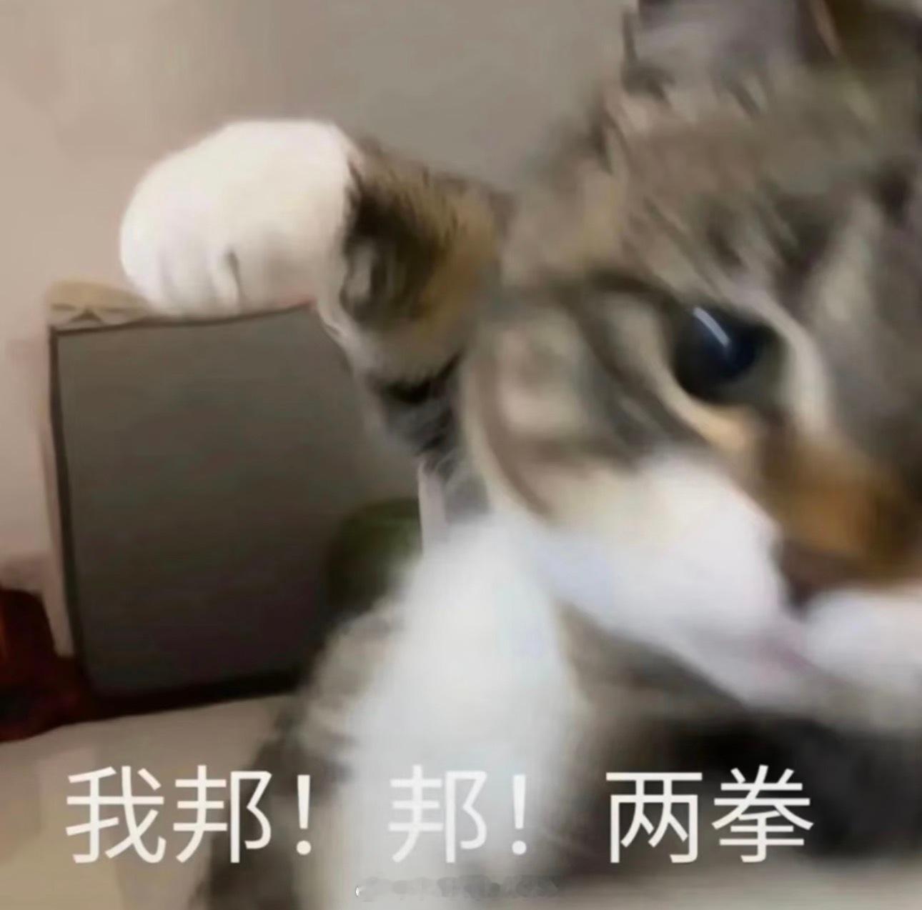 严浩翔哭了问为什么哭的、我没了解过都知道这几天发生了什么天天挂热搜、肯定会难受吧