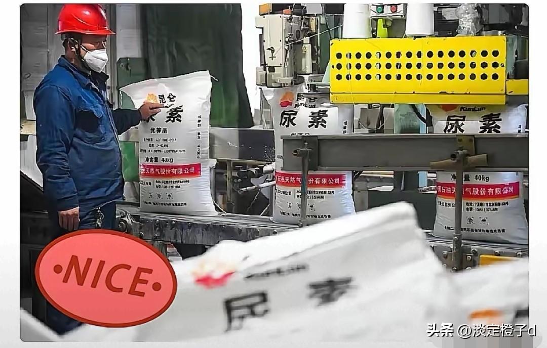 霍尔木兹海峡动荡带火西北尿素产业。
新观点是地缘冲突重构全球化肥供给格局，煤制尿