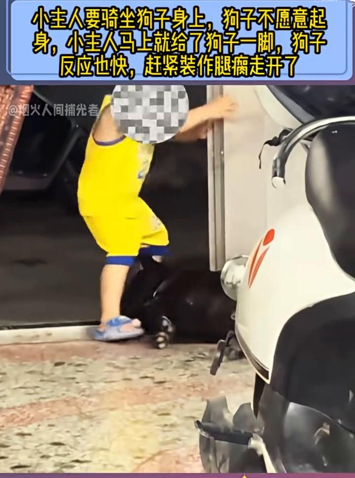 小主人要骑坐狗子身上，狗子不愿意起身，小主人马上就给了狗子一脚，狗子反应也快，赶