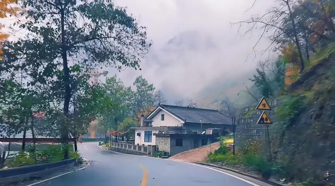 这是秦岭腹地广货街到朱雀沿途景色

秦岭的道风景线 老秦岭真美 又来大秦岭 秦岭