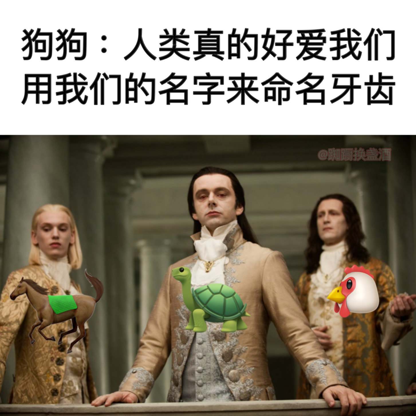 看看更爱谁#meme# ​​​