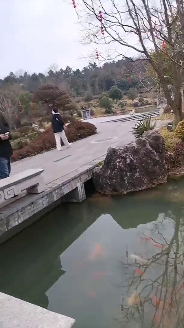 牛首山景区山高坡陡，台阶多，请根据自身健康状况合理选择游线，量力而行，请您游览时