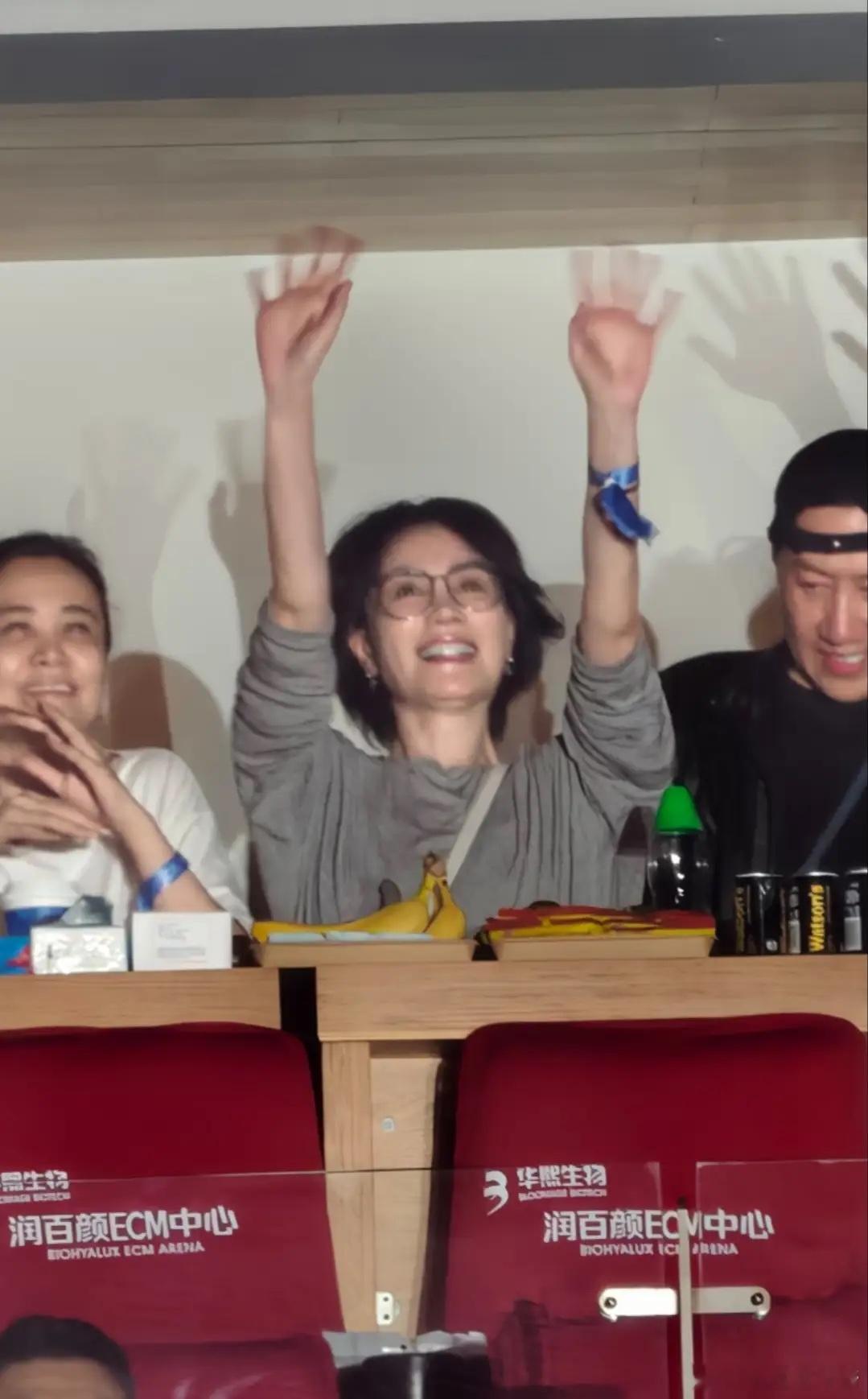 那英演唱会王菲与李亚鹏前经纪人同框，童瑶和王凯等人也在！ 