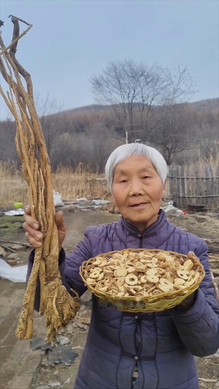 黑龙江原始大森林，最低零下40来度，寒带的黄芪嘎嘎好。
我家是小兴安岭的主脉，原