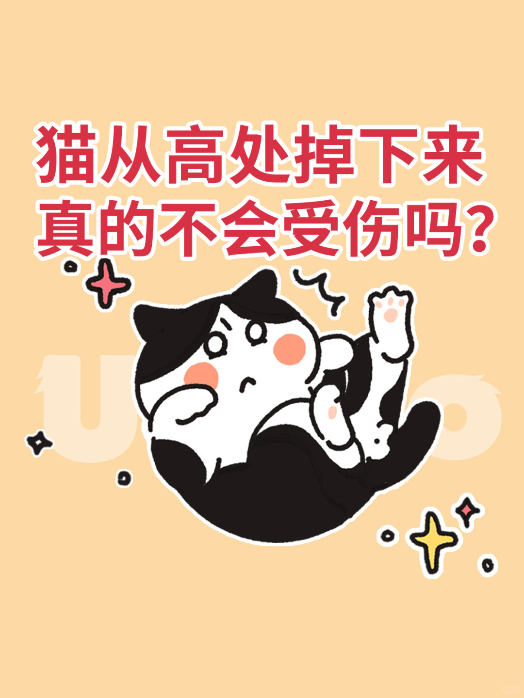 猫从高处掉下来，真的不会受伤吗？