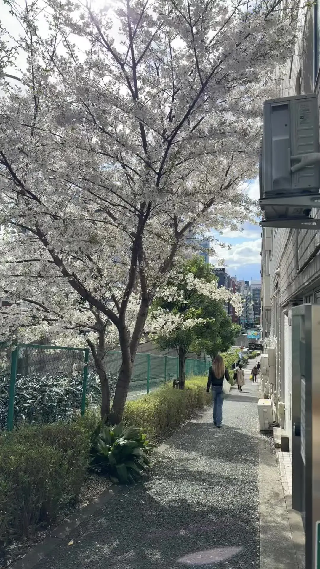 🌸