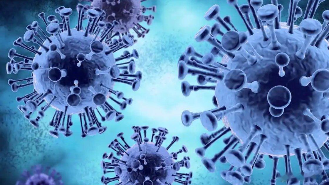 甲型H3N2毒株严重可导致呼吸衰竭近期戴口罩戴口罩戴口罩 当下流感高发，浙江大学