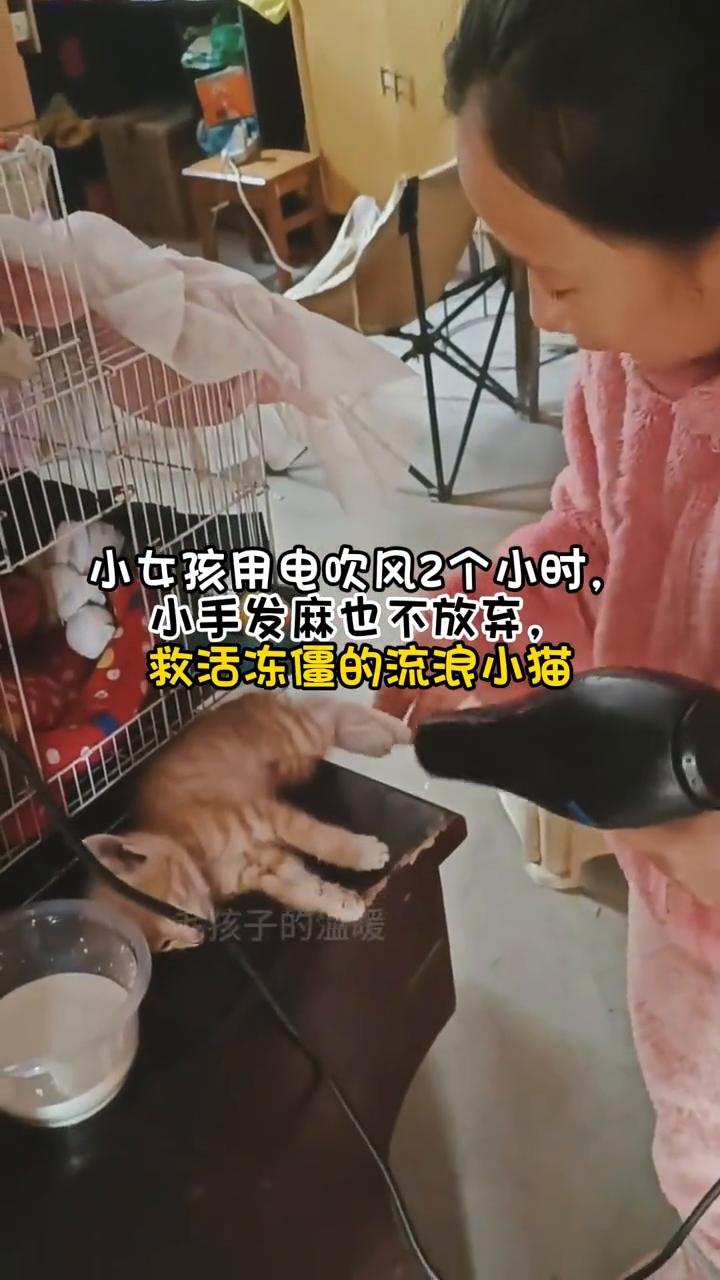 谢谢你没放弃，以后换我来守护你。
小女孩用电吹风2个小时，小手发麻也不放弃。救活