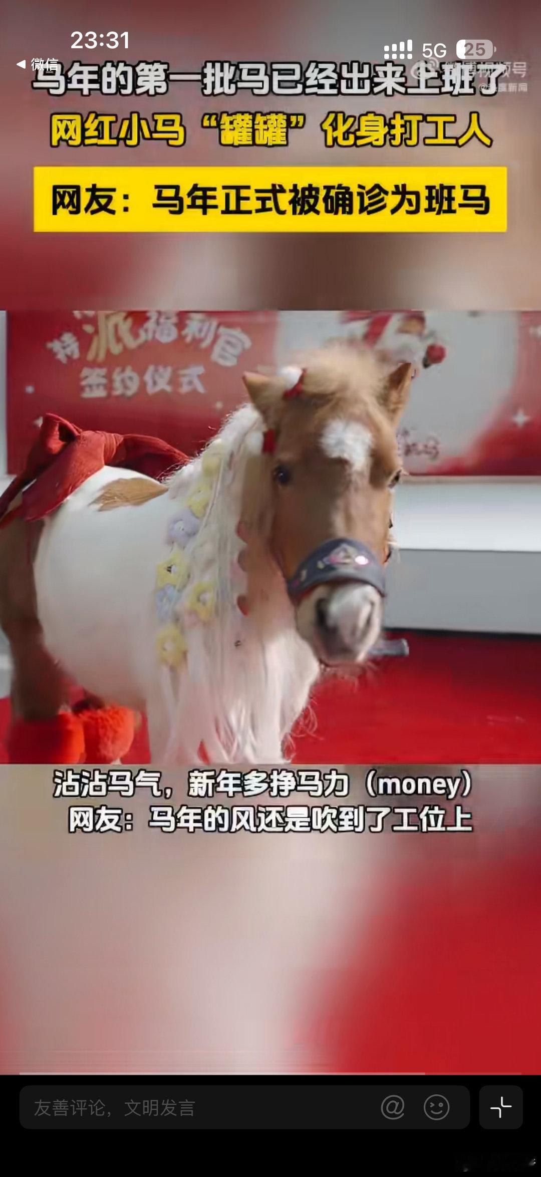 马年的第一批马已经出来上班了打工人的马年人设 马年伊始，网红小马“罐罐”现身办公