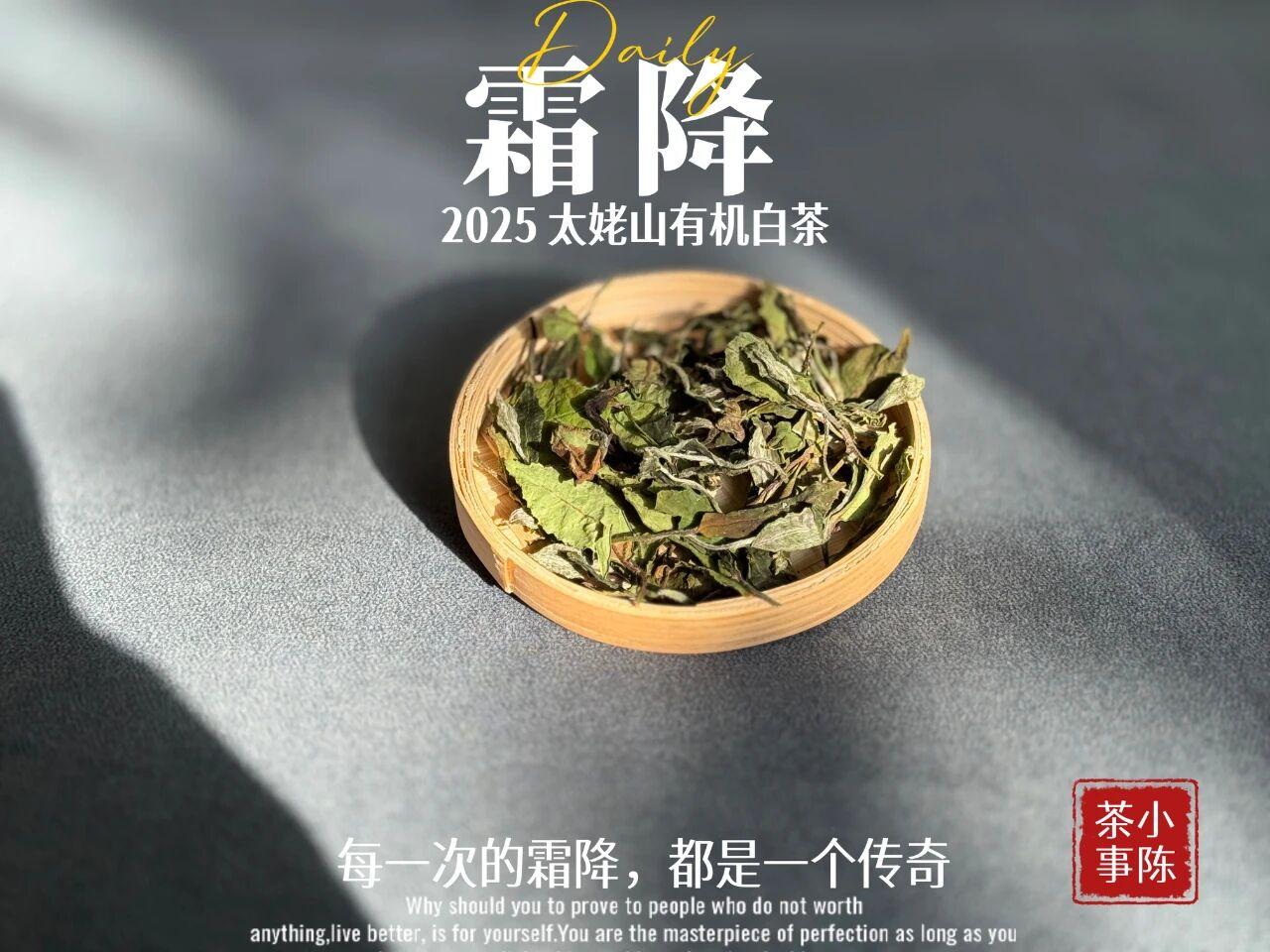 3款冷门但很惊艳的宝藏茶！
盘点那些被严重低估的茶叶，冷门却很好喝，看看有你喝过