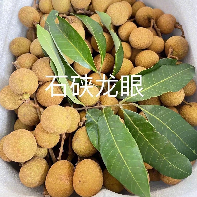 广东茂名储良/石硖龙眼，新鲜采摘，清甜多汁，储良龙眼个大肉厚，清甜爽脆，石硖龙眼